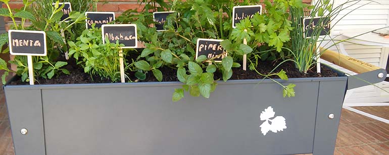 Urban gardens in Sabadell